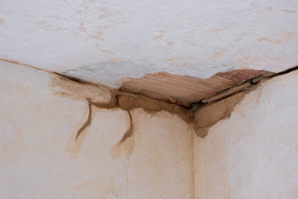 Best Local water damage restoration  in Rosanky, TX
