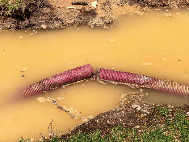 Best Water damage contractors near me  in Rosanky, TX